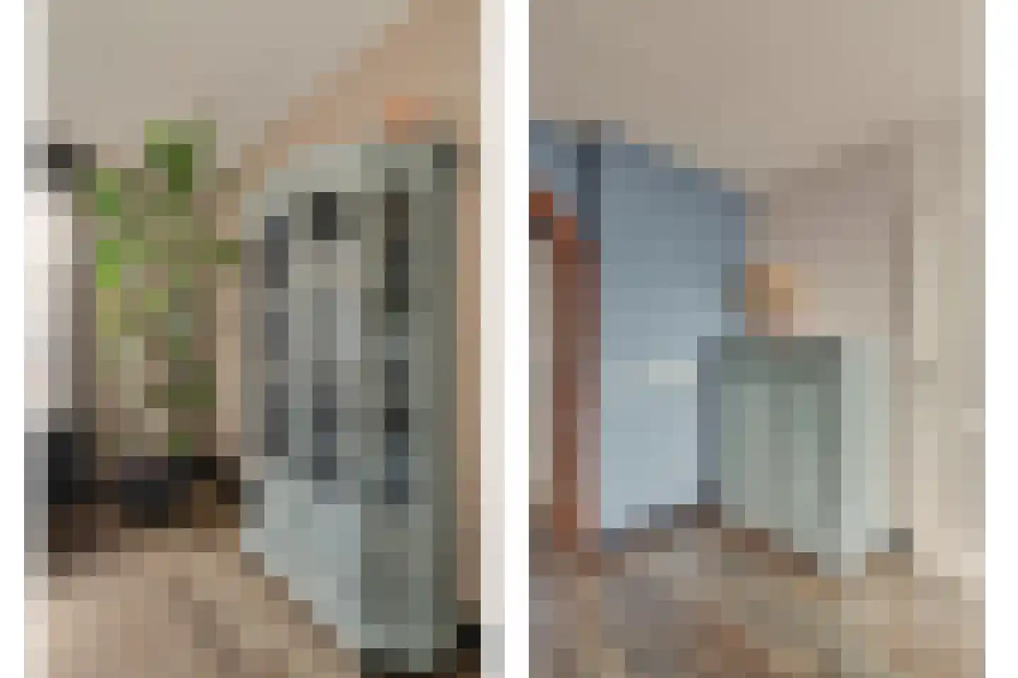 Schutsboom 4 Bladel thumbnail 21