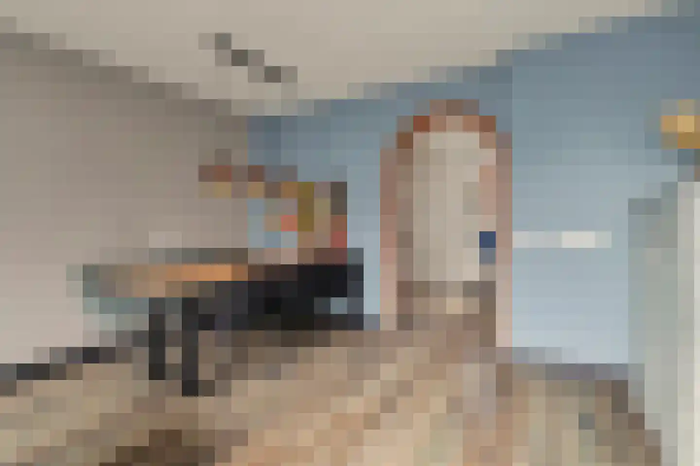 Schutsboom 4 Bladel thumbnail 22