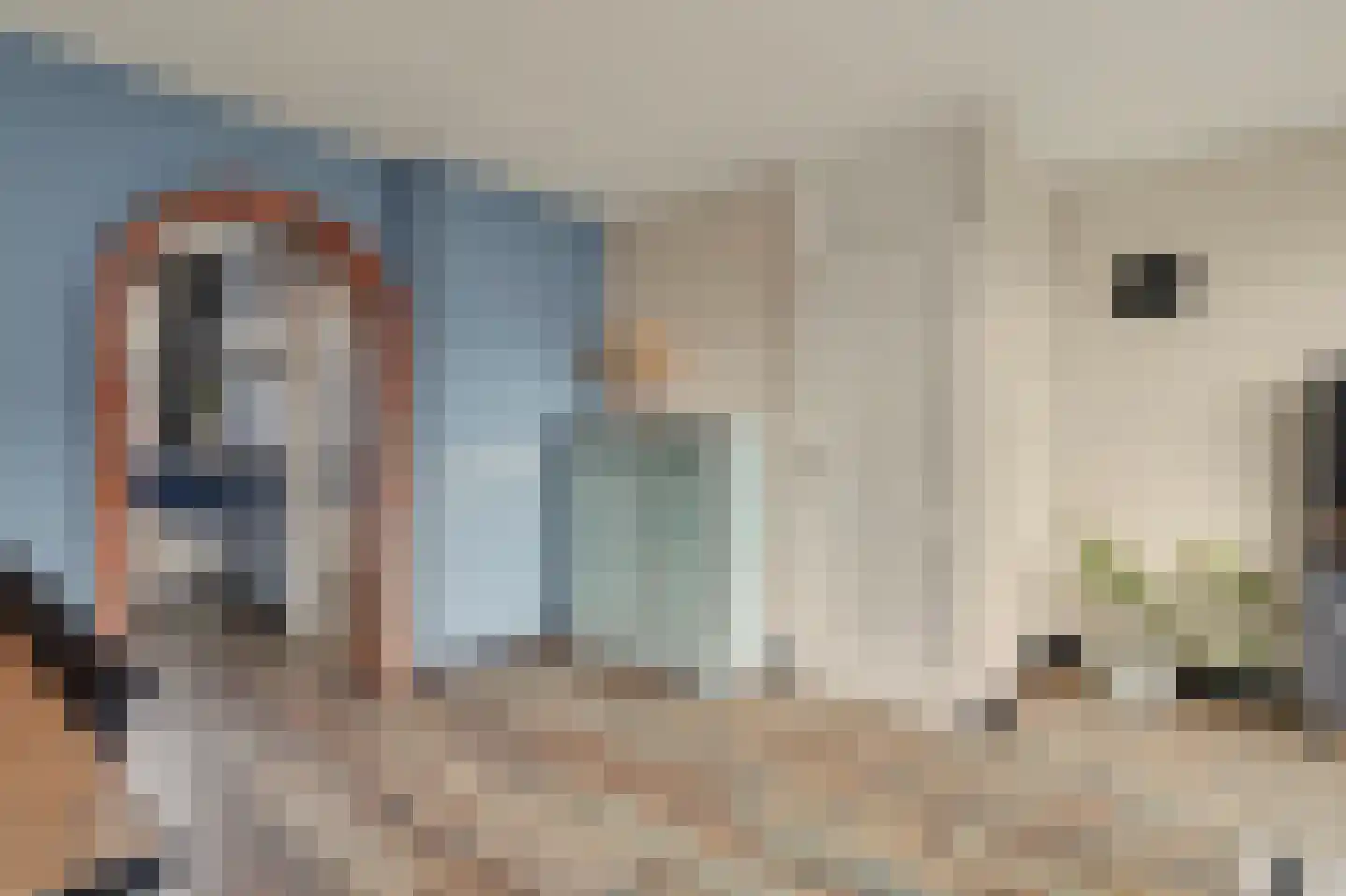 Schutsboom 4 Bladel thumbnail 25