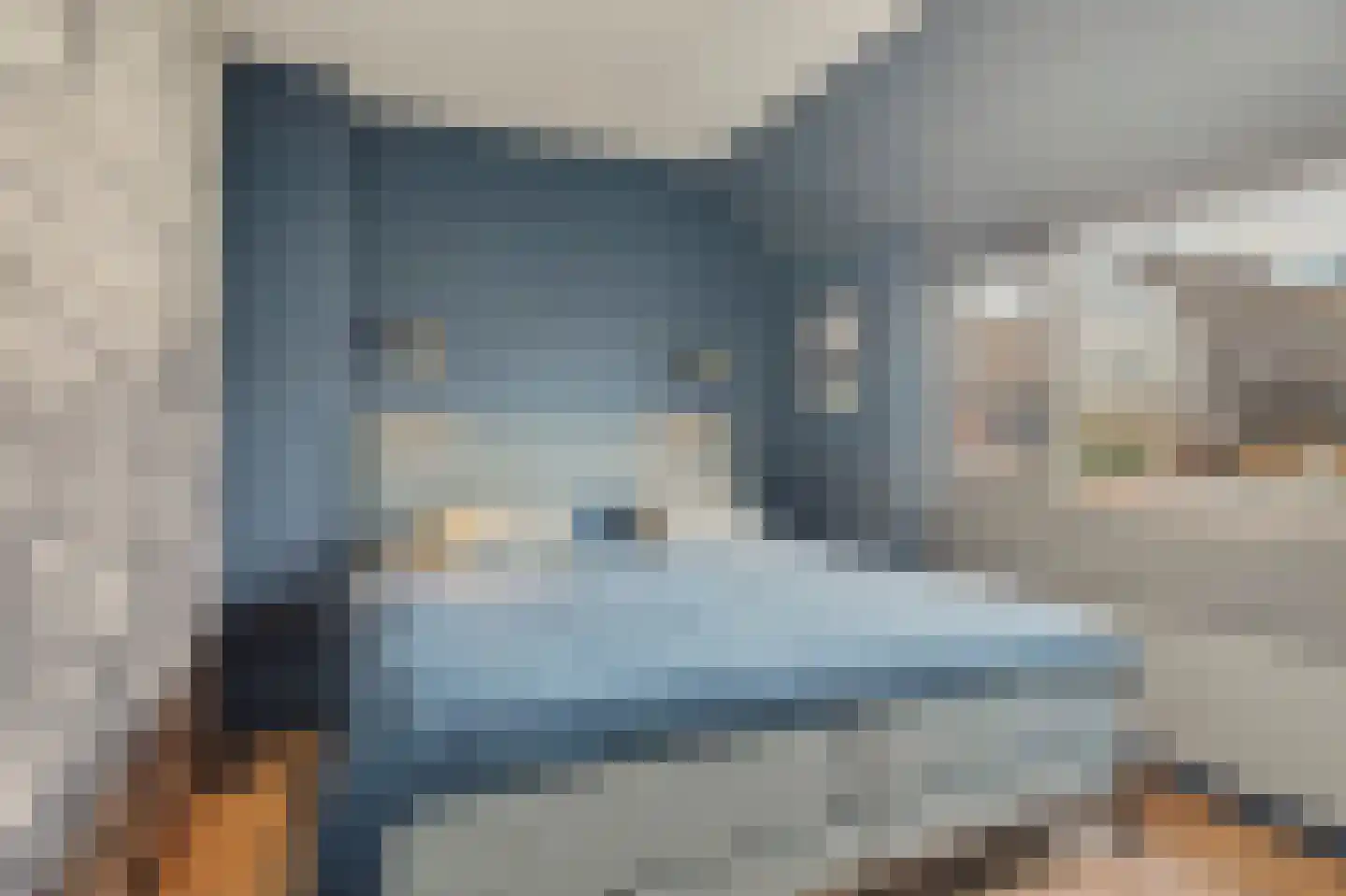 Schutsboom 4 Bladel thumbnail 31