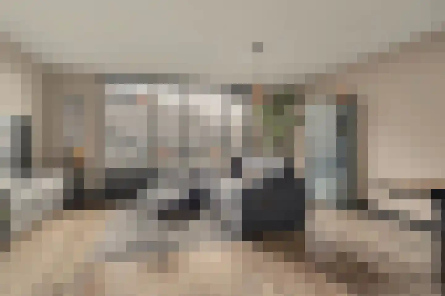 Schutsboom 4 Bladel thumbnail 4