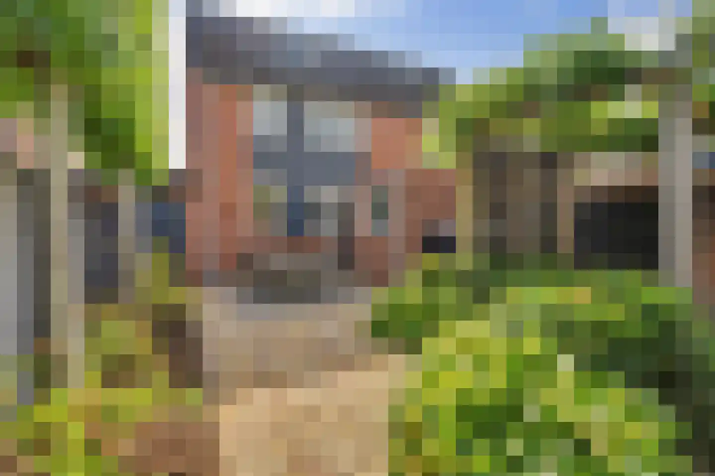 Schutsboom 4 Bladel thumbnail 46