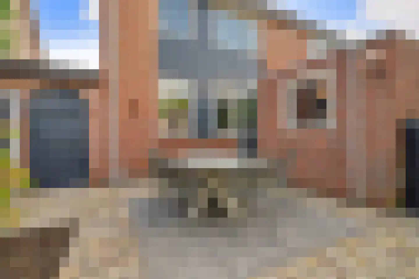 Schutsboom 4 Bladel thumbnail 47