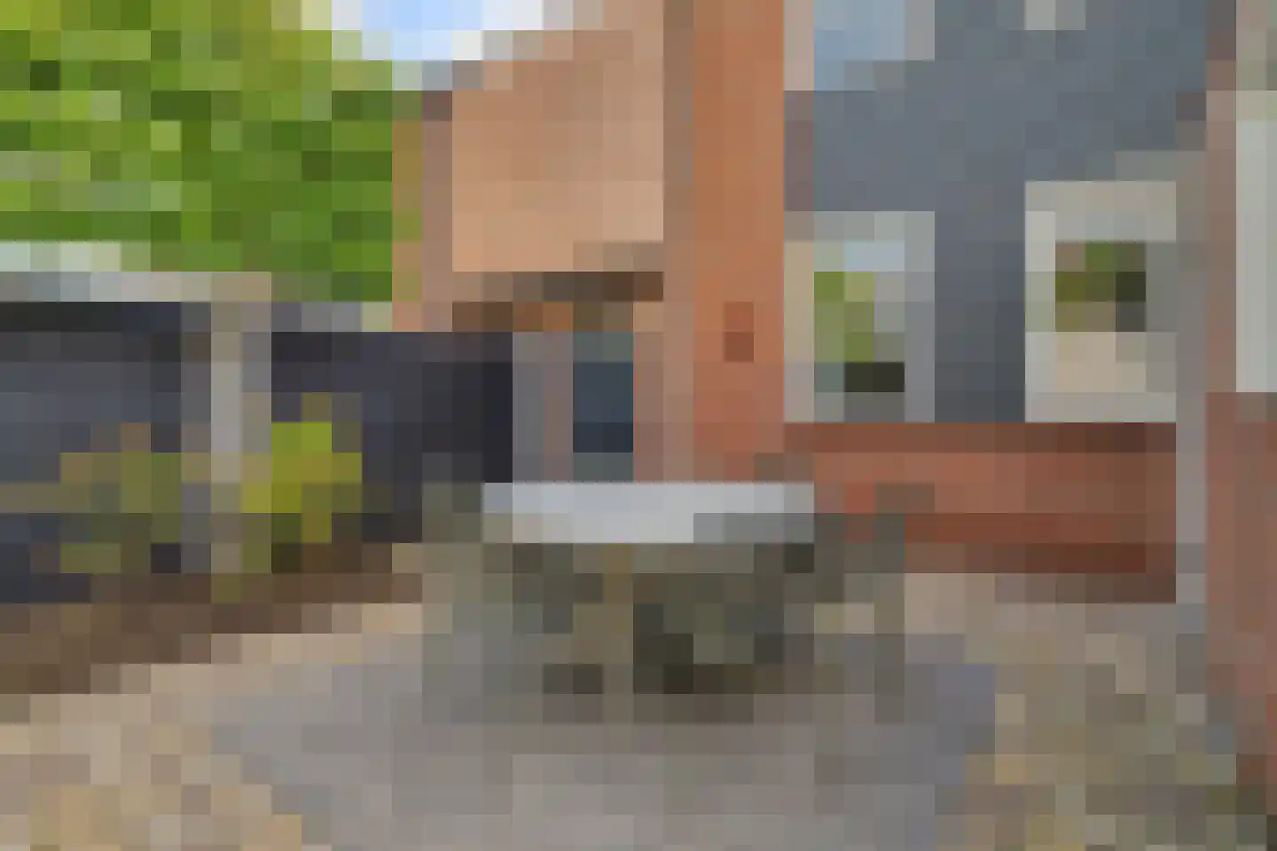 Schutsboom 4 Bladel thumbnail 48