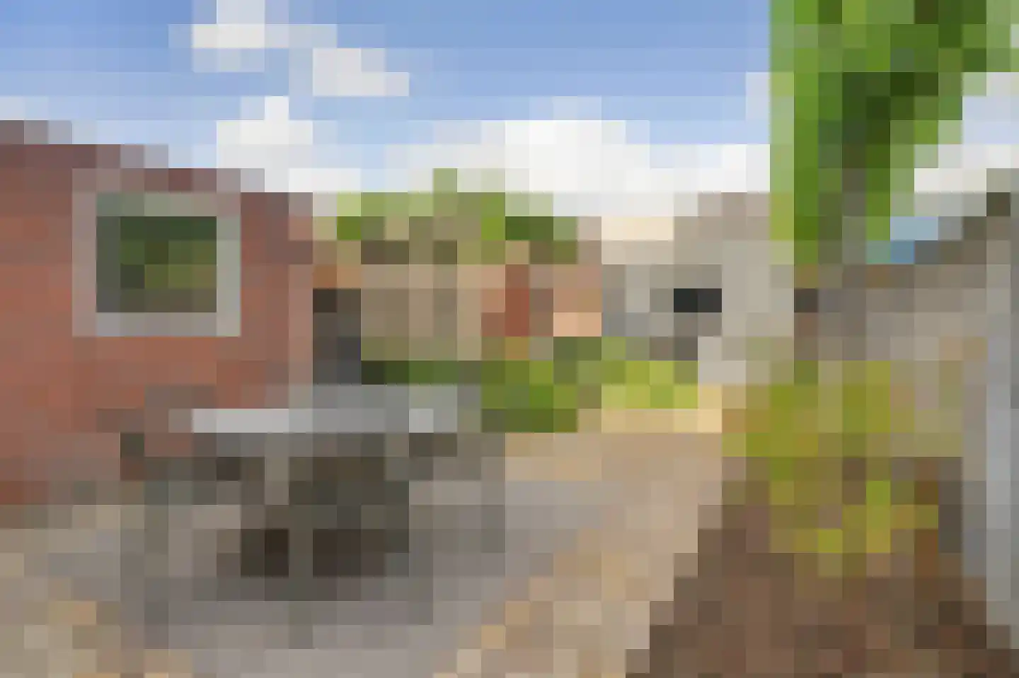 Schutsboom 4 Bladel thumbnail 49