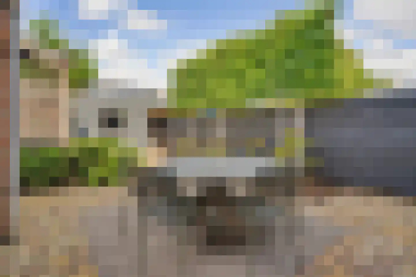 Schutsboom 4 Bladel thumbnail 50