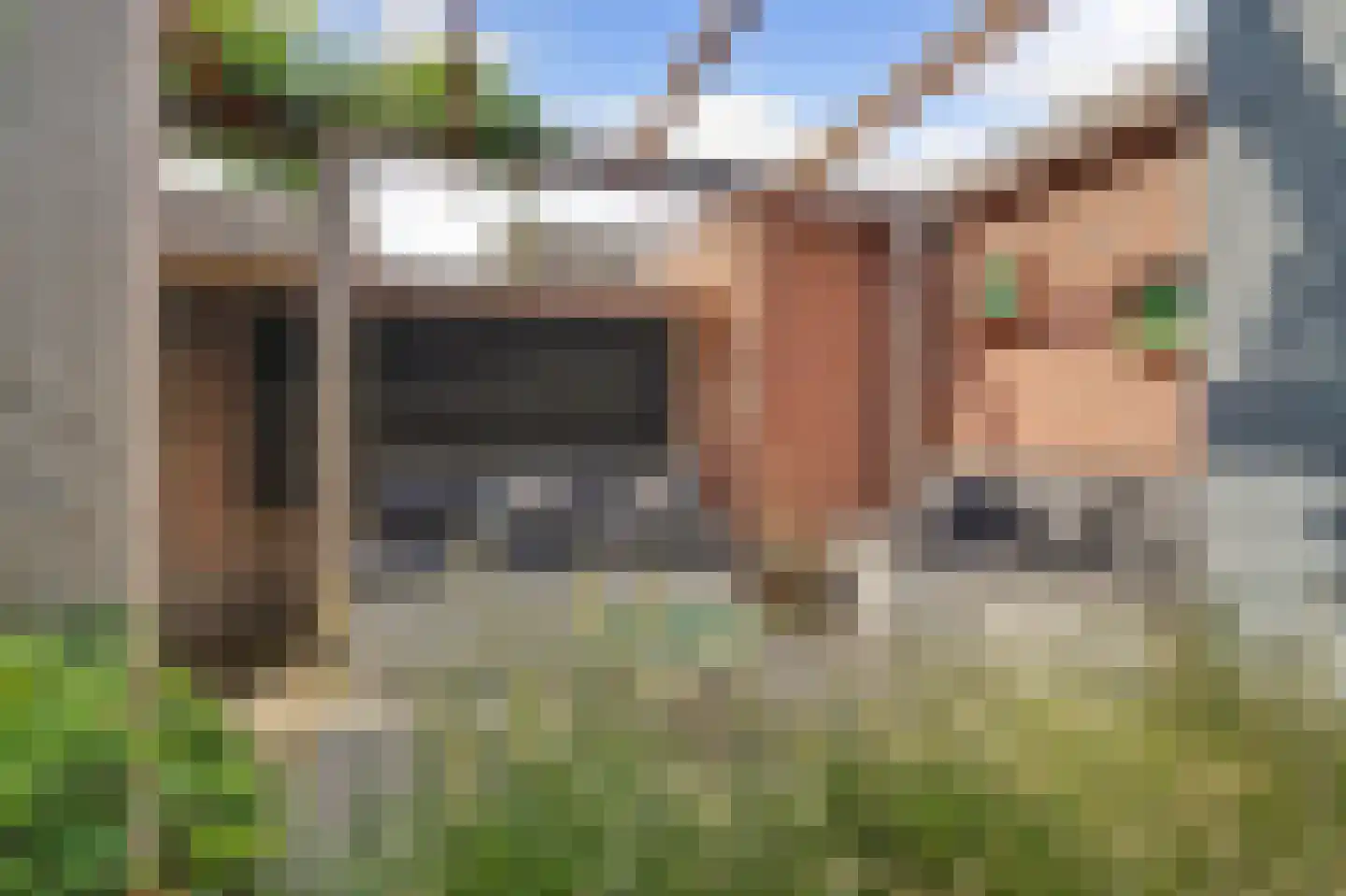 Schutsboom 4 Bladel thumbnail 51