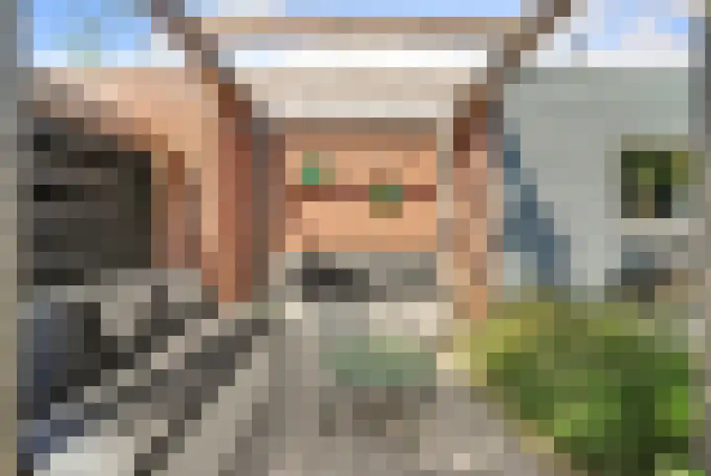 Schutsboom 4 Bladel thumbnail 52