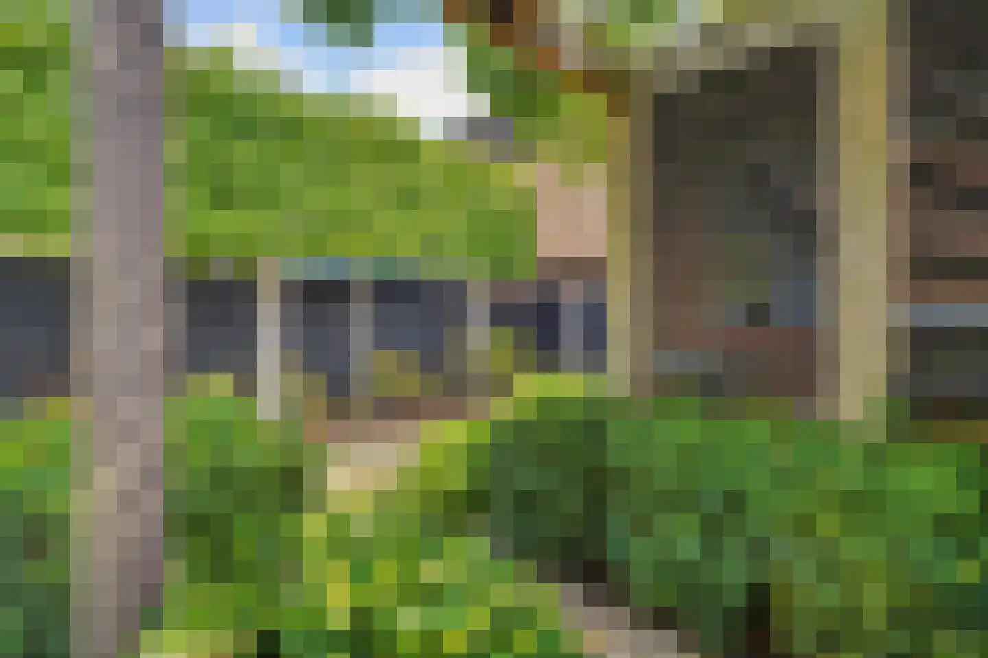 Schutsboom 4 Bladel thumbnail 53