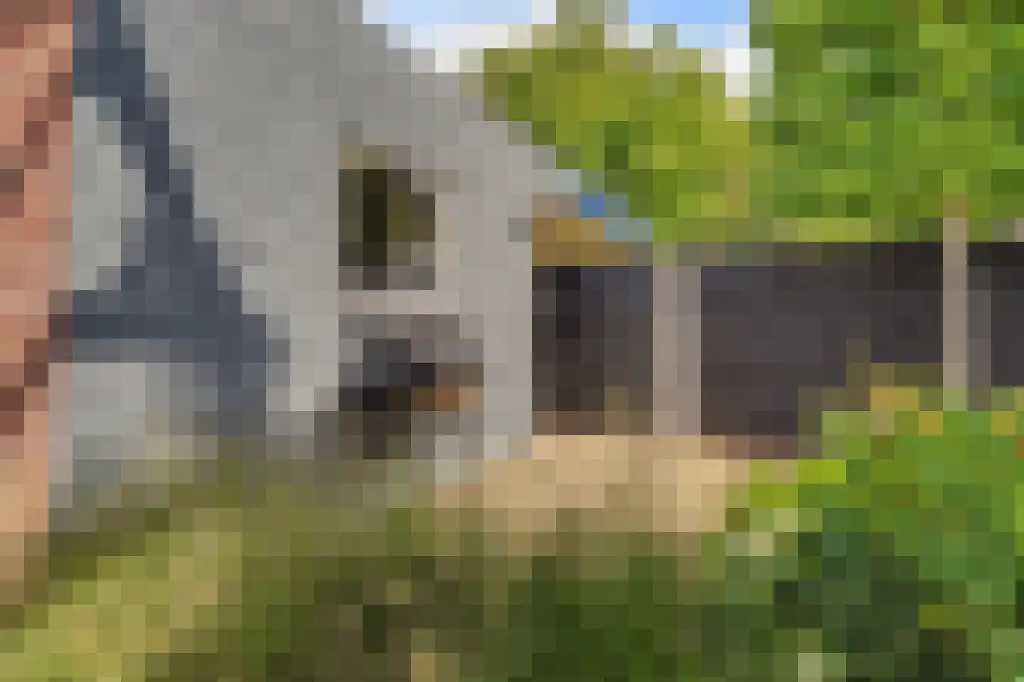 Schutsboom 4 Bladel thumbnail 54