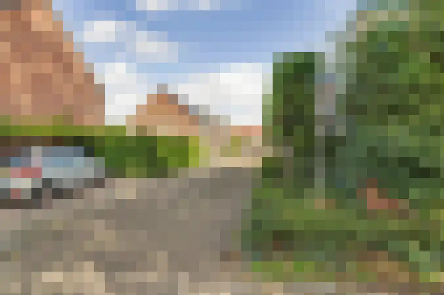 Schutsboom 4 Bladel thumbnail 60