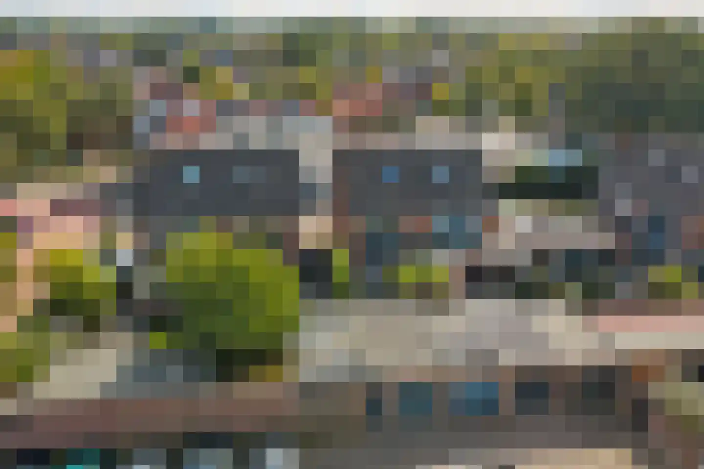 Schutsboom 4 Bladel thumbnail 61