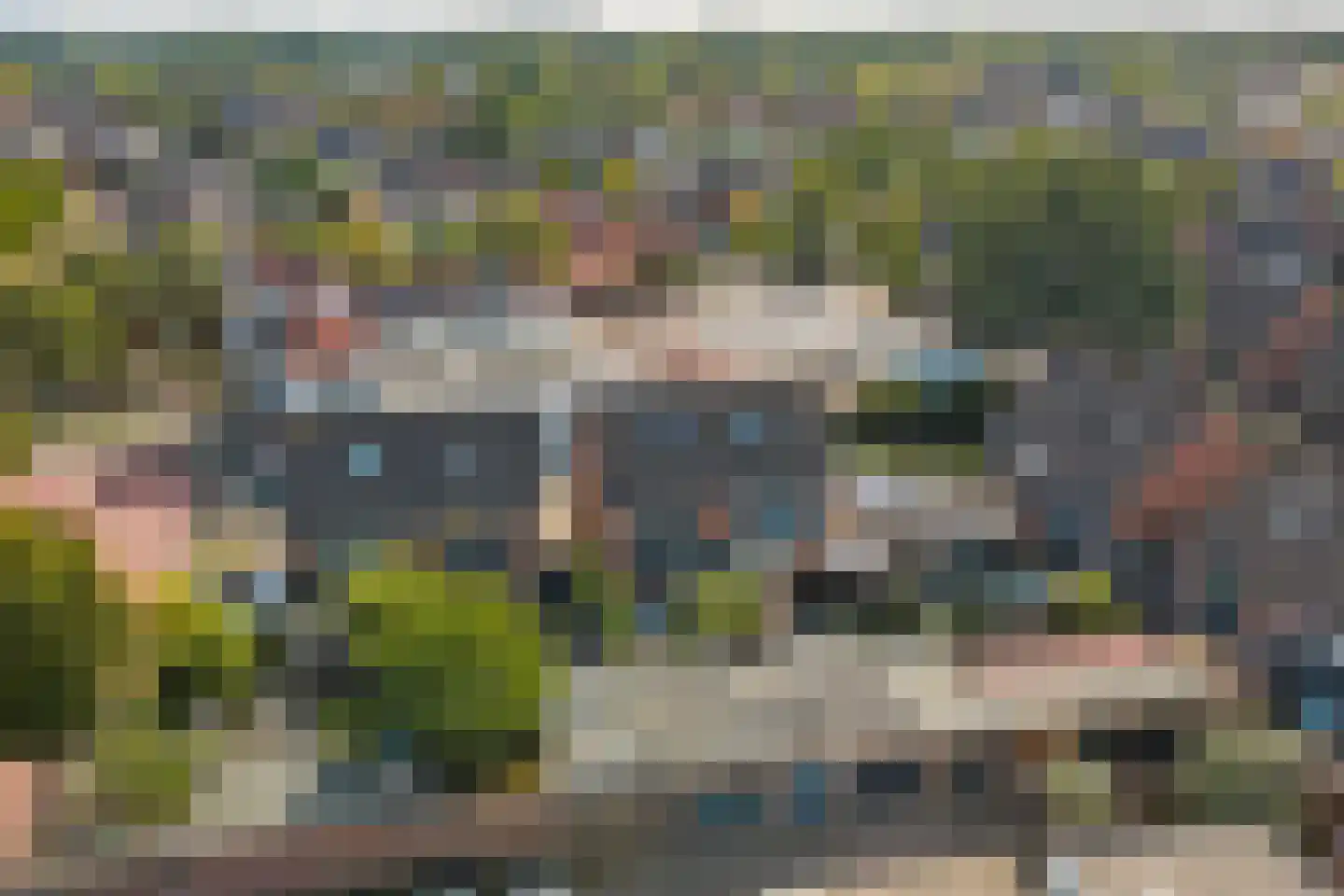 Schutsboom 4 Bladel thumbnail 62