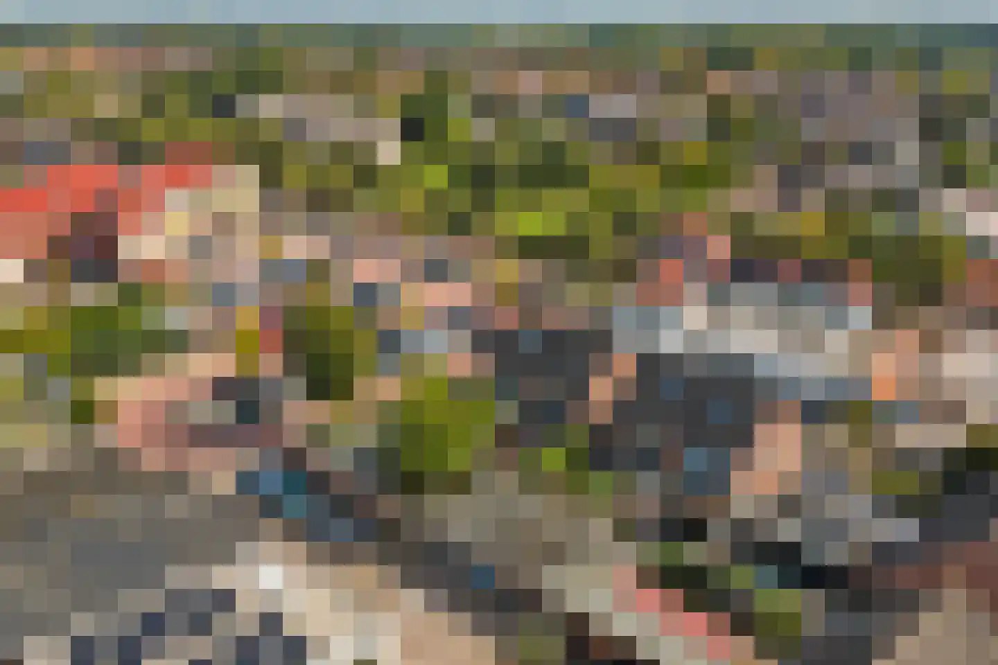 Schutsboom 4 Bladel thumbnail 63
