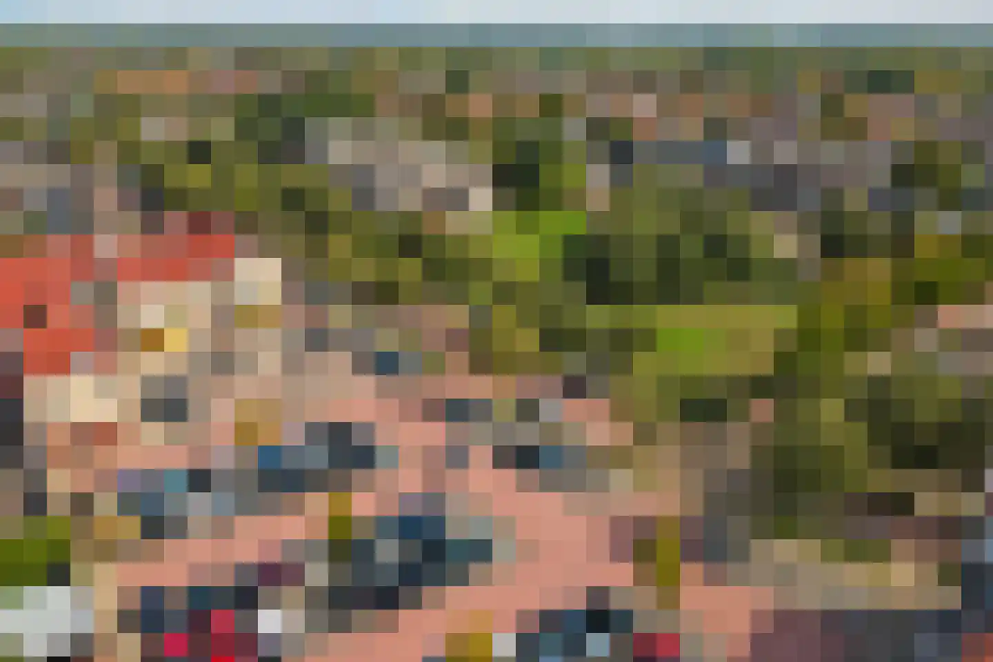Schutsboom 4 Bladel thumbnail 64