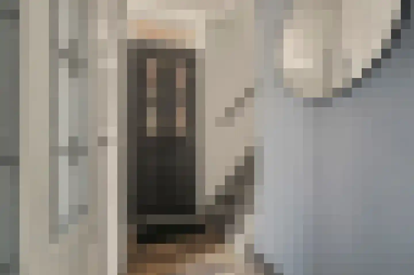 Schutsboom 4 Bladel thumbnail 8