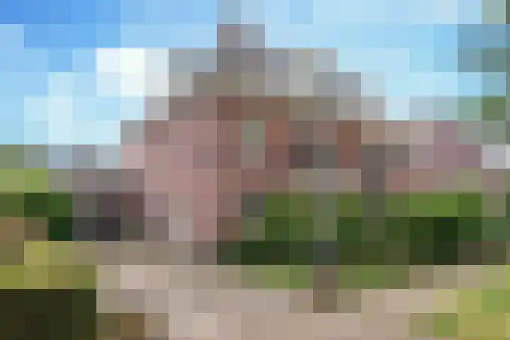 Schutsboom 42 Helmond thumbnail 10