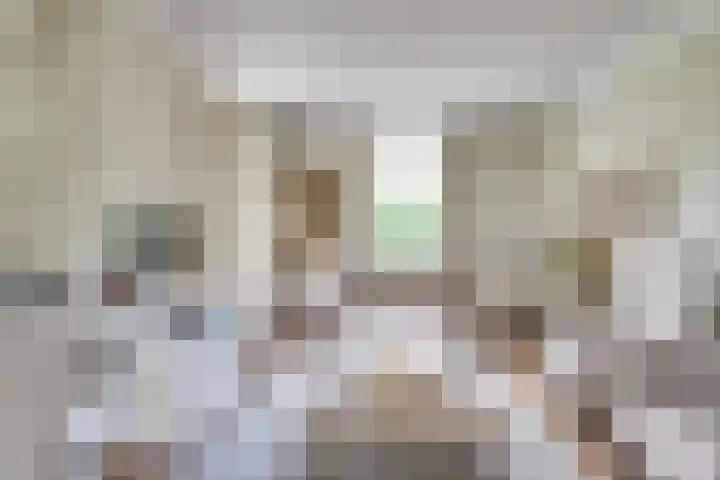 Schutsboom 42 Helmond thumbnail 13