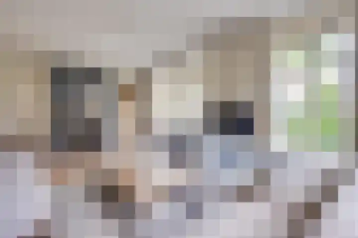 Schutsboom 42 Helmond thumbnail 16