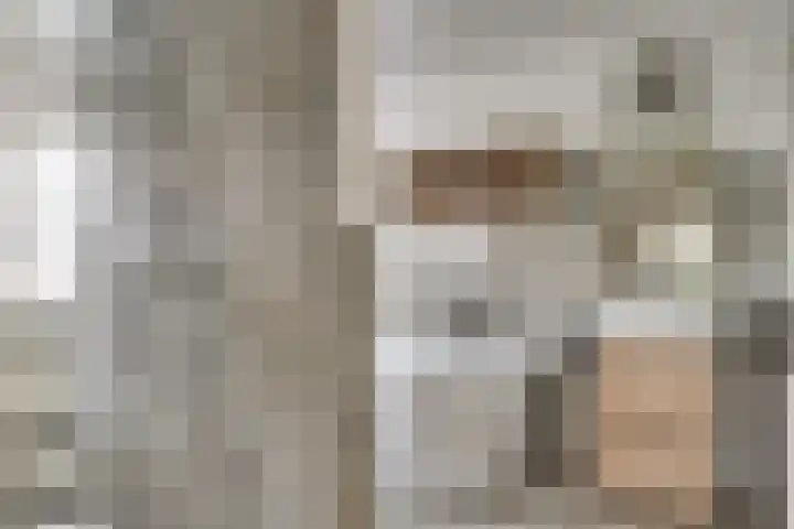 Schutsboom 42 Helmond thumbnail 38