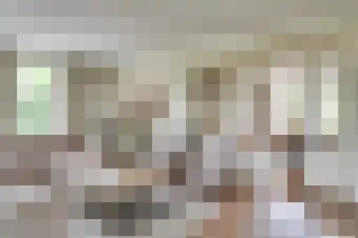 Schutsboom 42 Helmond thumbnail 4