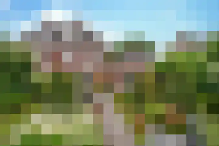 Schutsboom 42 Helmond thumbnail 42