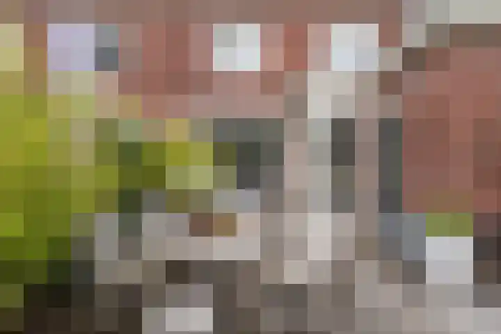 Schutsboom 42 Helmond thumbnail 43