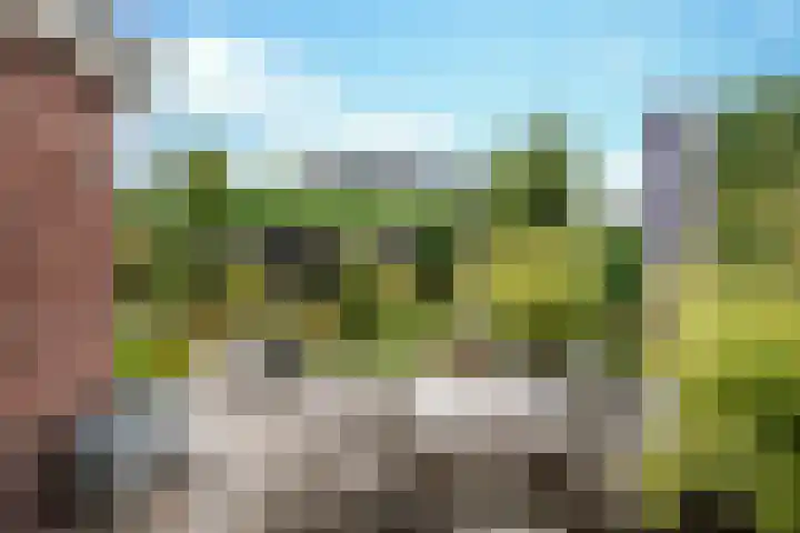 Schutsboom 42 Helmond thumbnail 45
