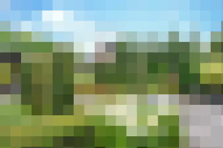 Schutsboom 42 Helmond thumbnail 46