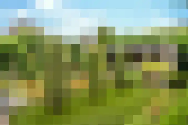 Schutsboom 42 Helmond thumbnail 47