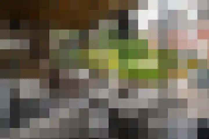 Schutsboom 42 Helmond thumbnail 48