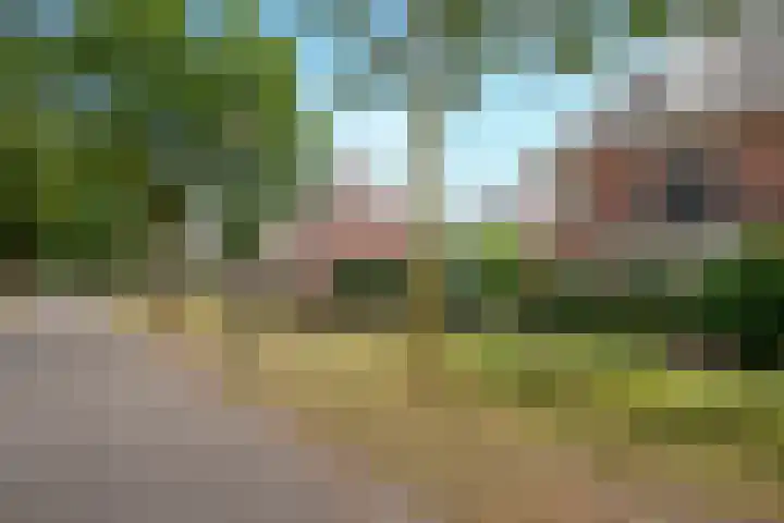 Schutsboom 42 Helmond thumbnail 54