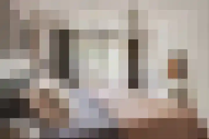 Schutsboom 42 Helmond thumbnail 6