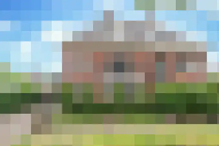 Schutsboom 42 Helmond thumbnail 8
