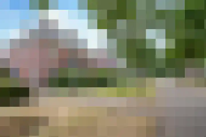 Schutsboom 42 Helmond thumbnail 9