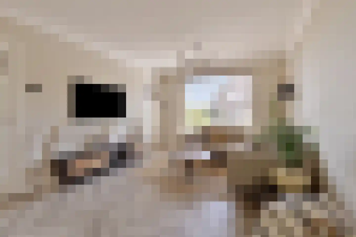 Schutsboom 48 Deurne thumbnail 13