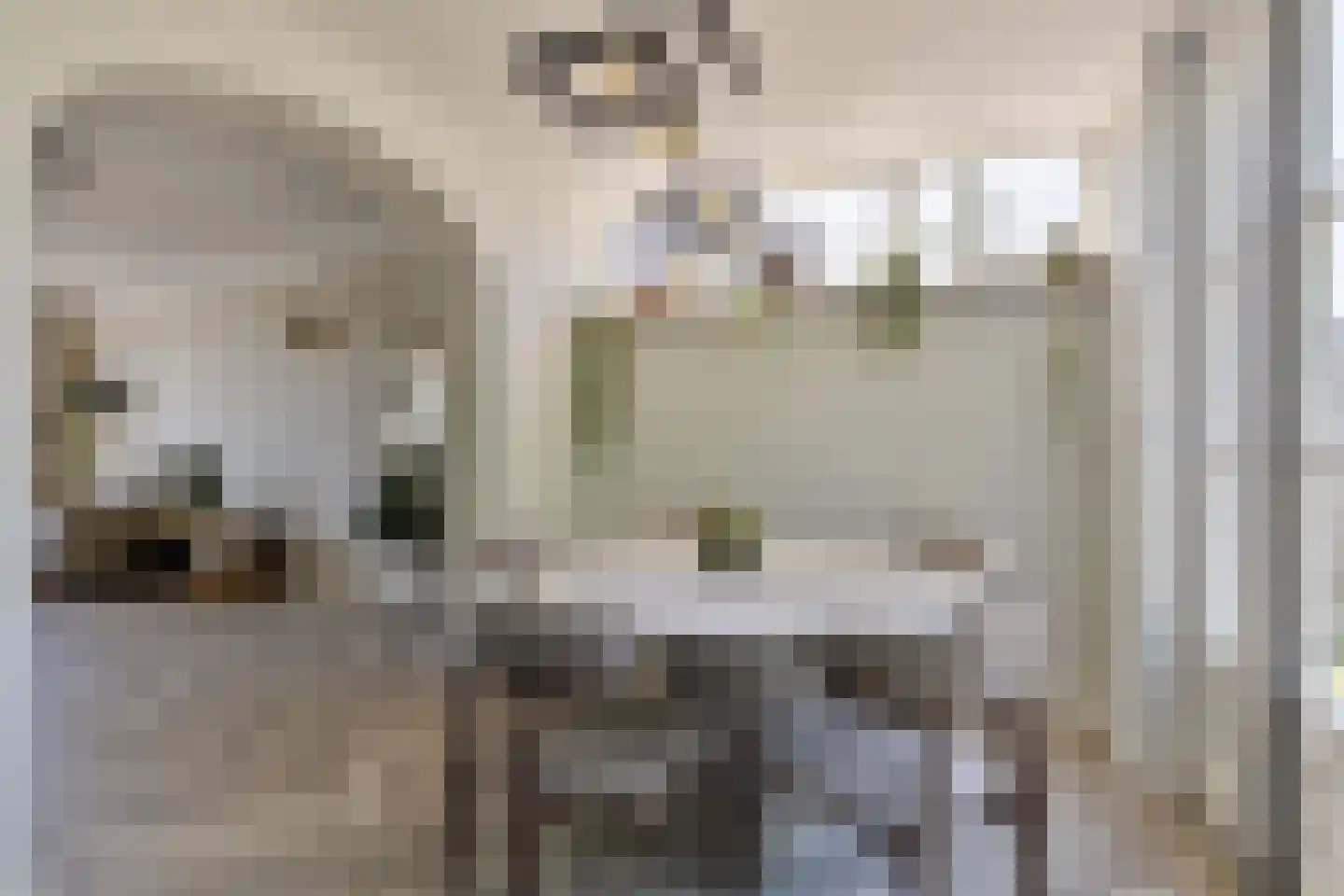 Schutsboom 48 Deurne thumbnail 17