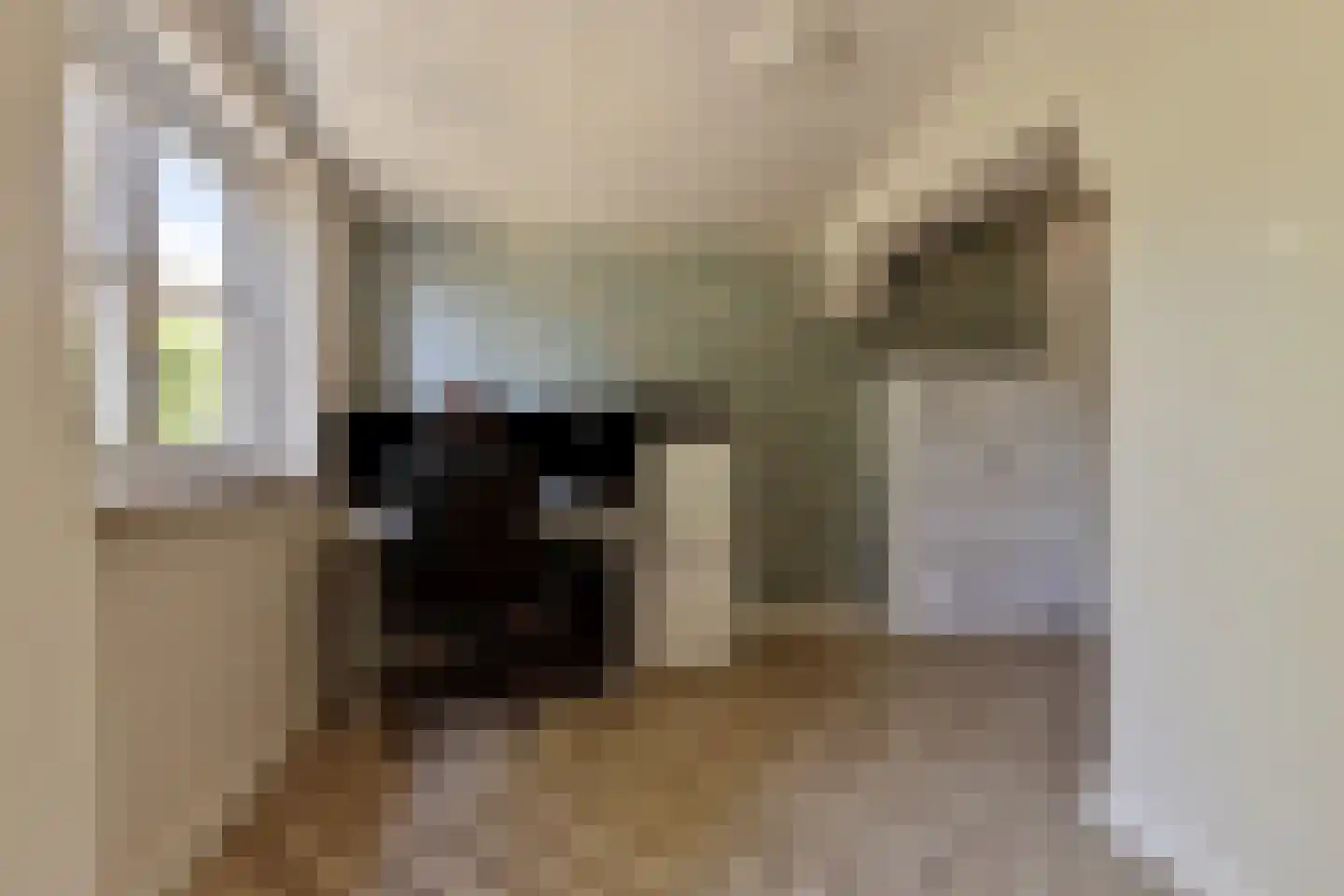 Schutsboom 48 Deurne thumbnail 27