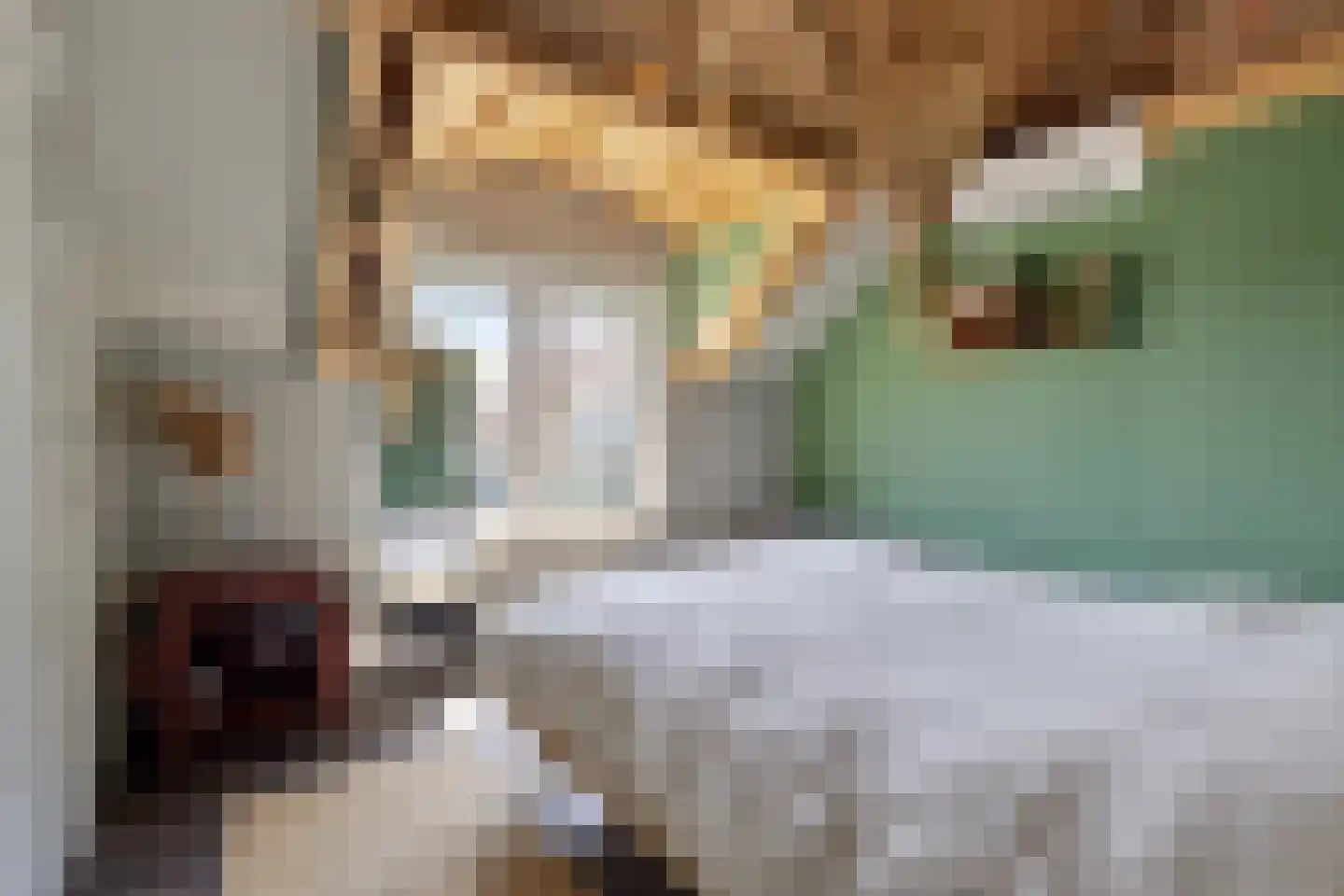Schutsboom 48 Deurne thumbnail 32
