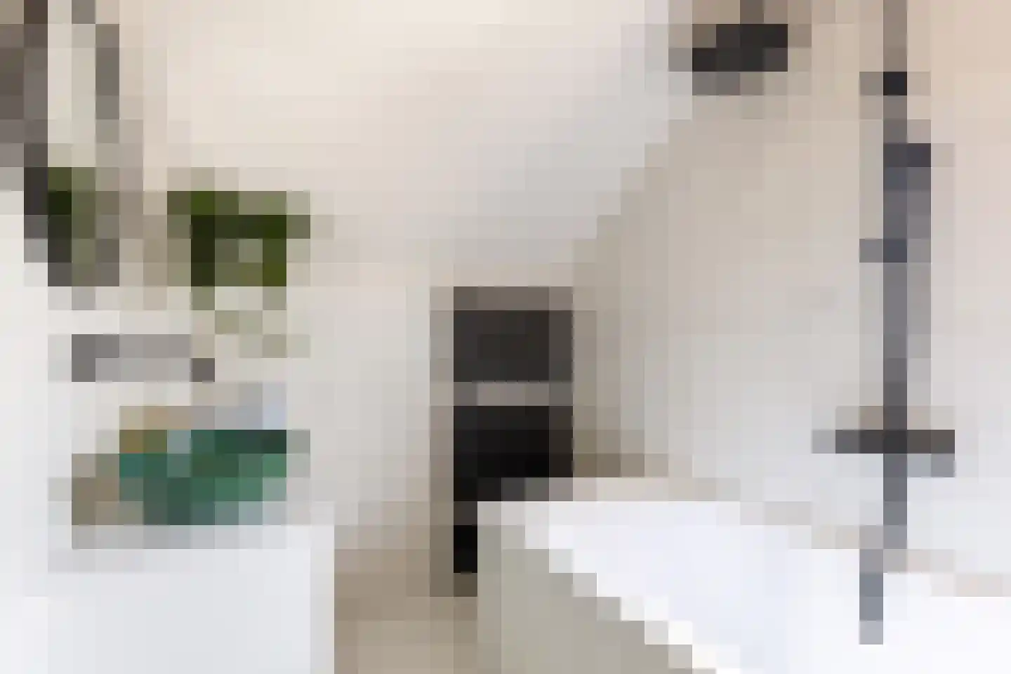 Schutsboom 48 Deurne thumbnail 4
