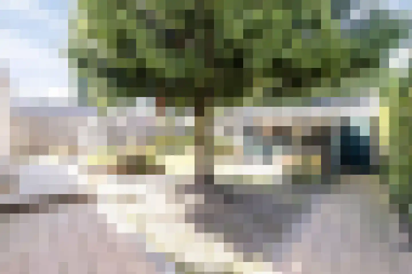 Schutsboom 48 Deurne thumbnail 45