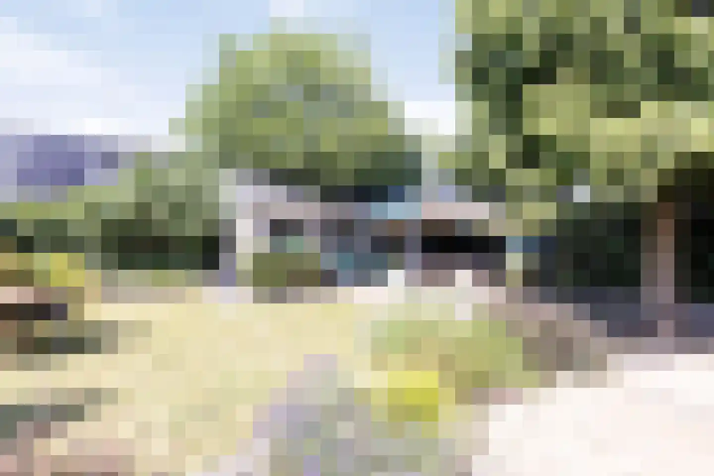 Schutsboom 48 Deurne thumbnail 46