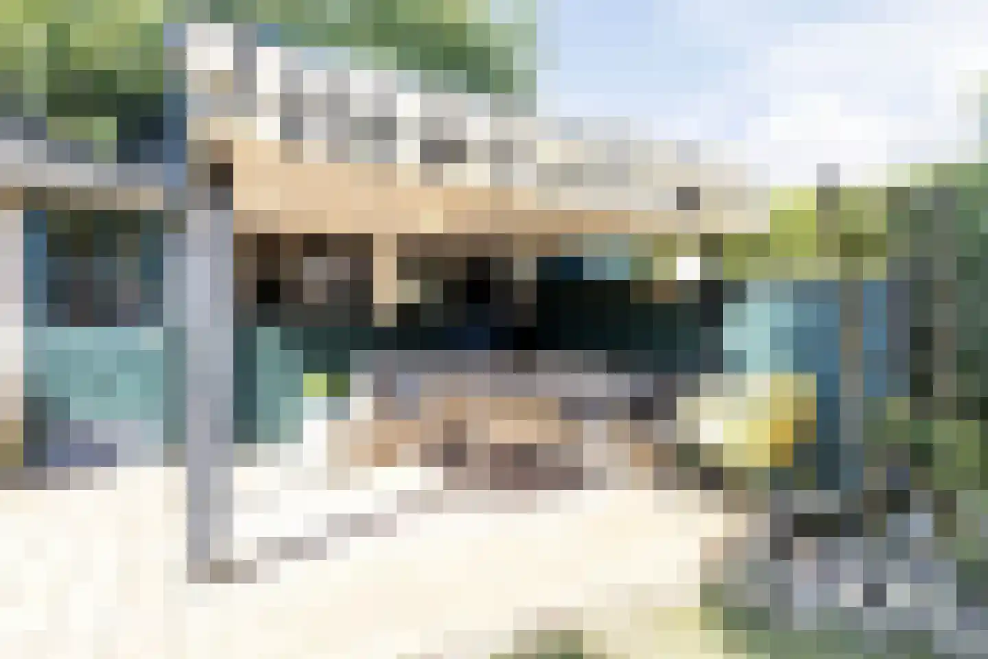 Schutsboom 48 Deurne thumbnail 47