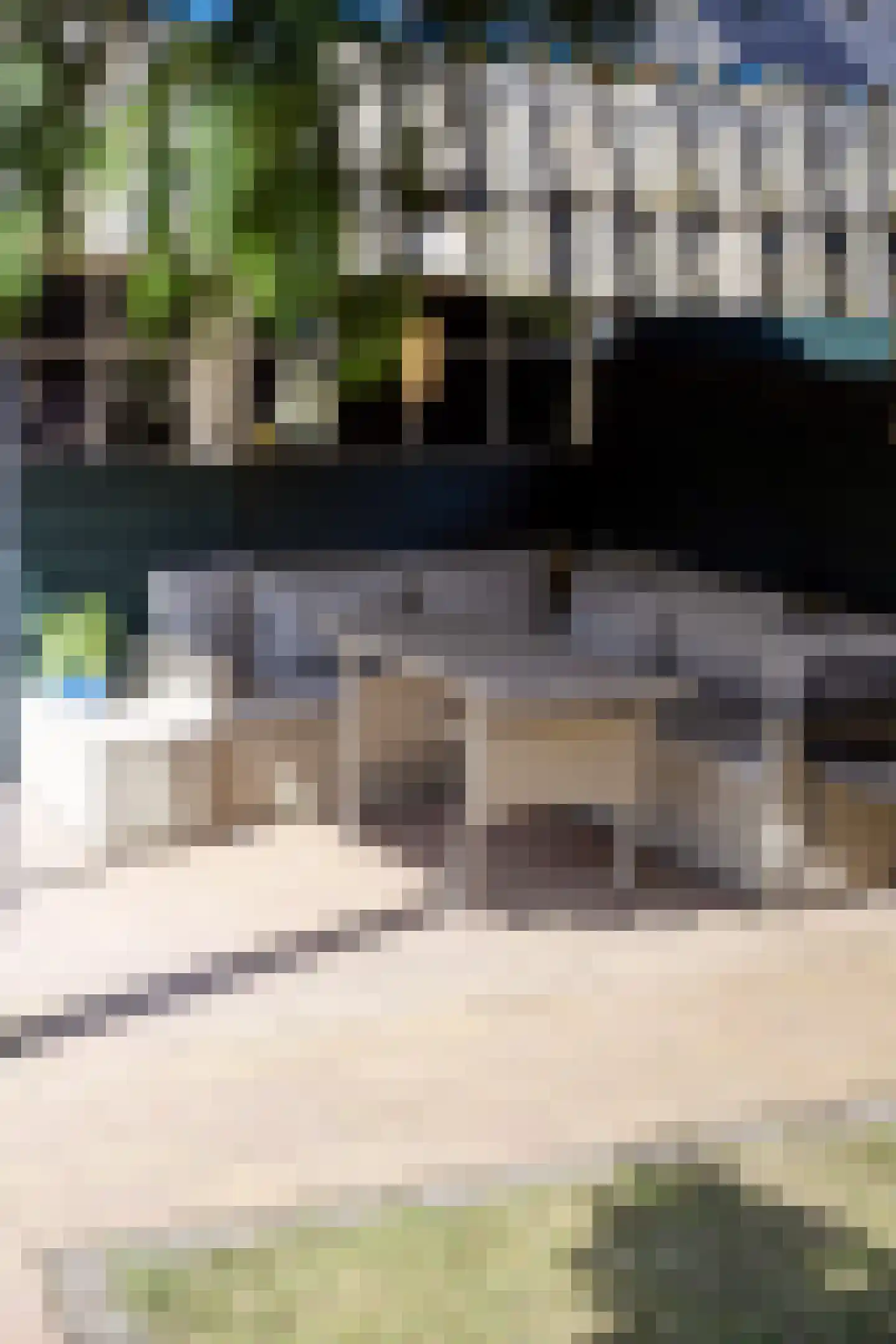 Schutsboom 48 Deurne thumbnail 48