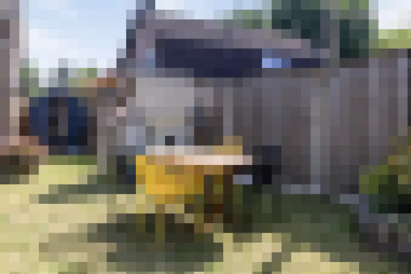 Schutsboom 48 Deurne thumbnail 53