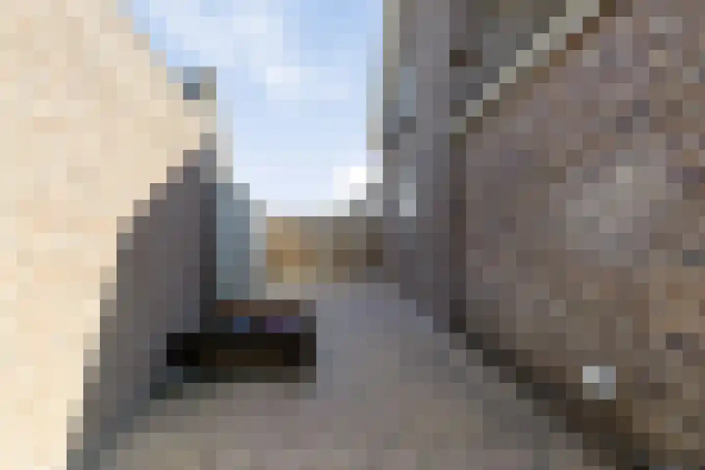 Schutsboom 48 Deurne thumbnail 55