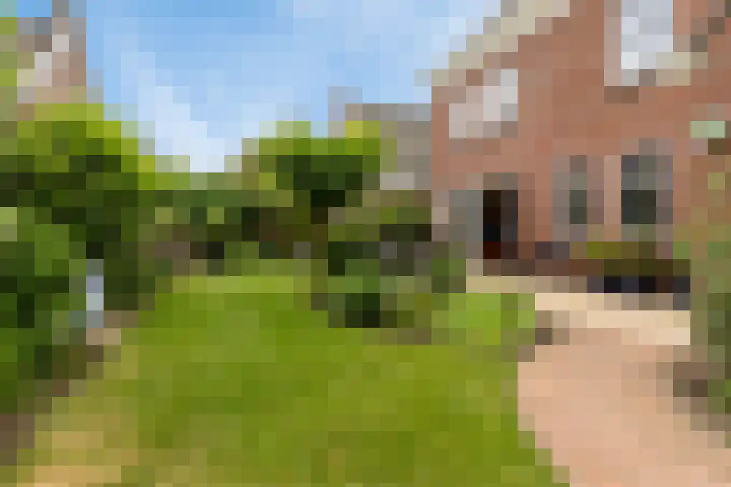 Schutsboom 48 Helmond thumbnail 21