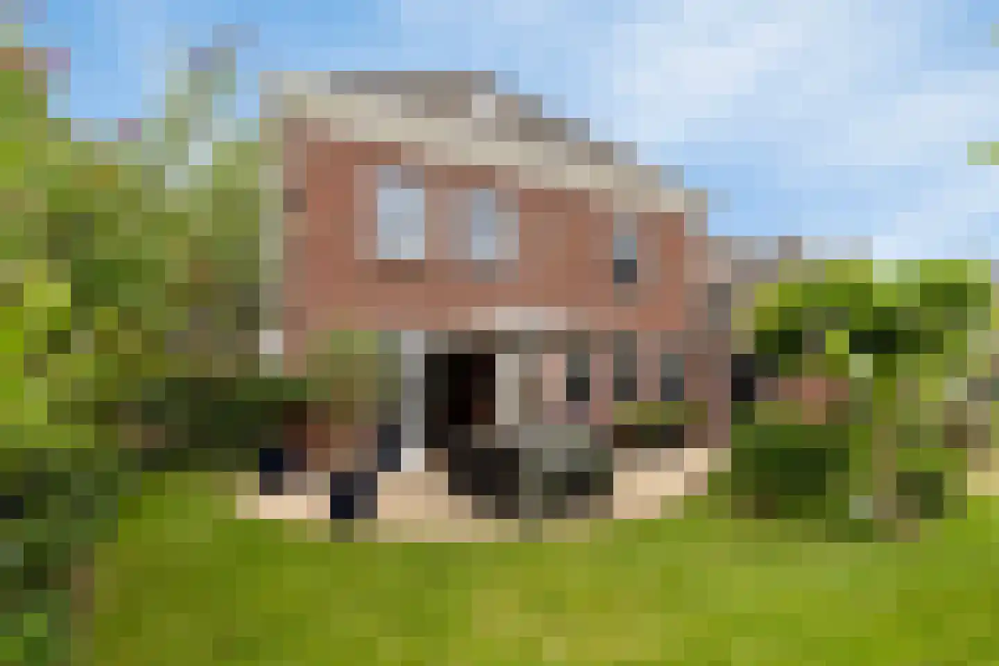 Schutsboom 48 Helmond thumbnail 28