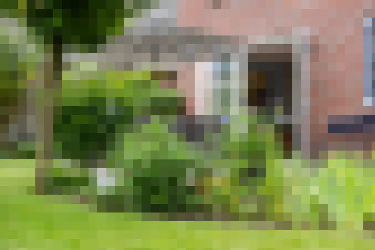 Schutsboom 48 Helmond thumbnail 29