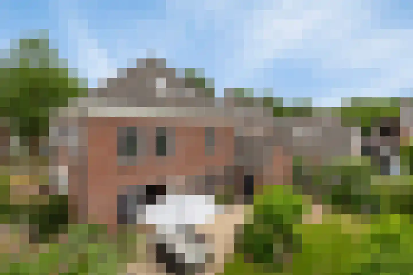 Schutsboom 48 Helmond thumbnail 30